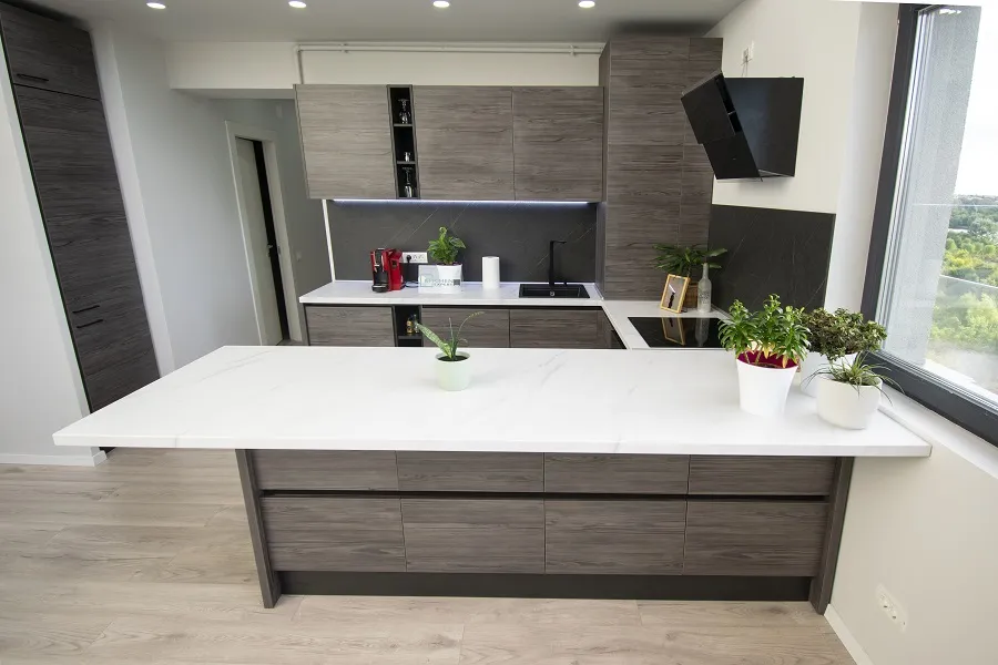 Bucătărie modernă din MDF furniruit 126 — poza 9