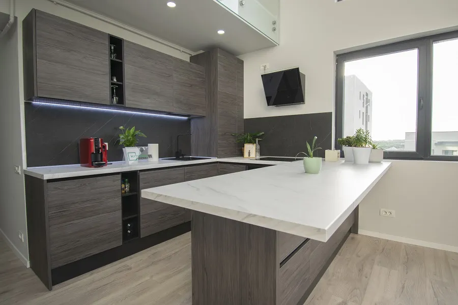 Bucătărie modernă din MDF furniruit 126 — poza 10