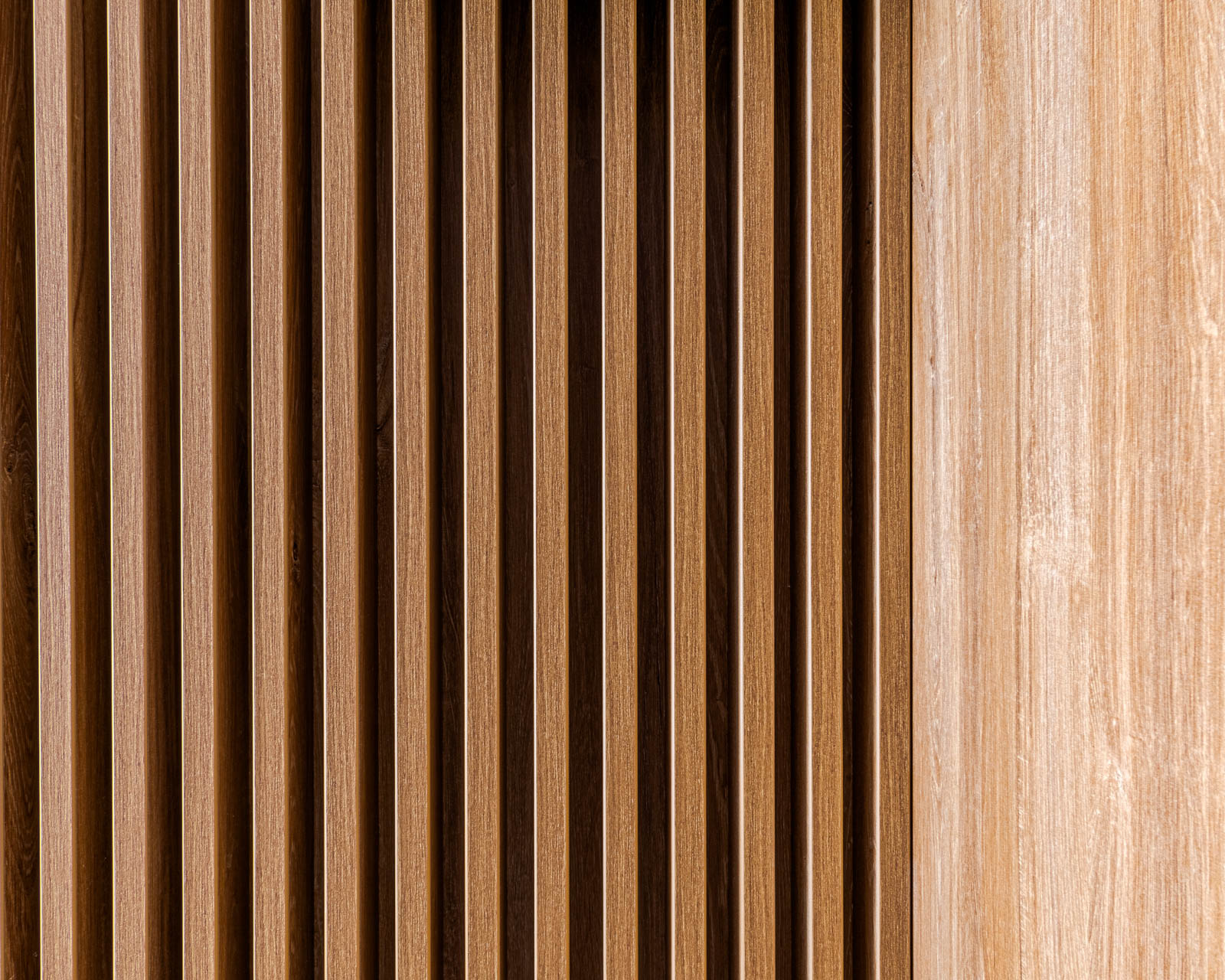 203-19